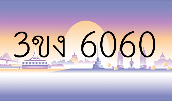 3ขง 6060